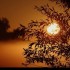 Lever du soleil