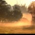 Mariage  entre le Soleil la Br