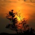 Coucher du soleil