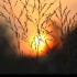 Coucher du soleil