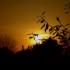 Coucher  du soleil