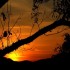 Coucher  du soleil