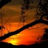Coucher  du soleil
