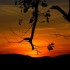 Coucher  du soleil