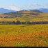 Le vignoble alsacien sous sa r