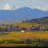 Le vignoble alsacien sous sa r