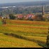 Le vignoble alsacien sous sa r