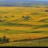 Le vignoble alsacien sous sa r