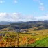 Le vignoble alsacien sous sa r