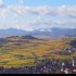 Le vignoble alsacien sous sa r