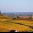 Le vignoble alsacien sous sa r