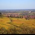 Le vignoble alsacien sous sa r