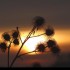 Lever du soleil