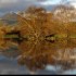 Effet 