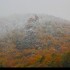 Entre automne et hiver