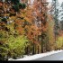 Entre automne et hiver
