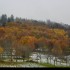 Entre automne et hiver