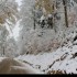 Entre automne et hiver
