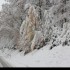 Entre automne et hiver