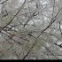 Structures cristallines
