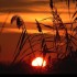Coucher du soleil