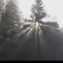 Mer de brouillard