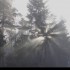 Mer de brouillard