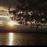 Coucher du soleil