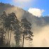 Brouillard sur le lac