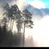 Brouillard sur le lac