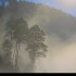 Brouillard sur le lac