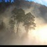 Brouillard sur le lac