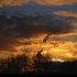 Coucher du soleil