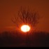 Coucher du soleil