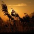 Coucher du soleil