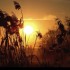 Coucher du soleil