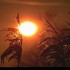 Coucher du soleil