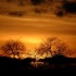 Coucher du soleil