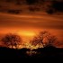 Coucher du soleil