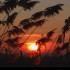 Coucher du soleil