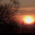 Coucher du soleil