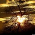 Coucher du soleil