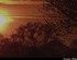 Coucher du soleil