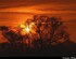 Coucher du soleil