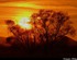 Coucher du soleil