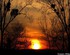 Coucher du soleil