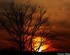 Coucher du soleil