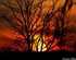 Coucher du soleil
