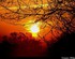 Coucher du soleil