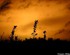 Coucher du soleil